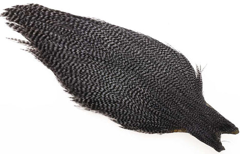 You added <b><u>Ewing #1 Grizzly Cape Dark Blue Down</u></b> to basket.
