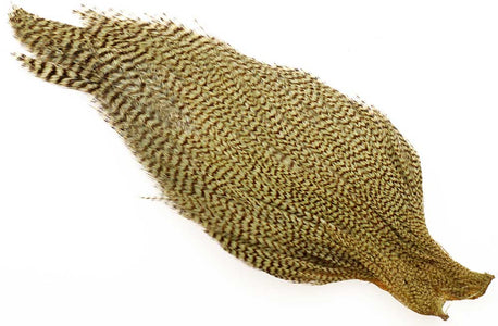 You added <b><u>Ewing #1 Cape Bleached Olive</u></b> to basket.