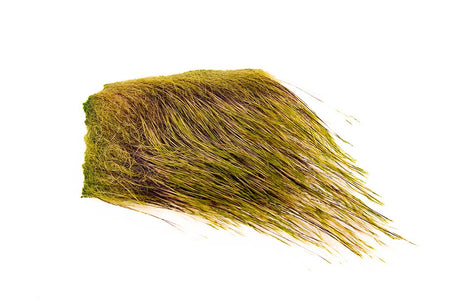 You added <b><u>Wild Boar Hair Chartreuse</u></b> to basket.
