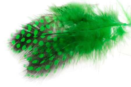 Du tilføjede <b><u>Perlehøne - Green Highlander</u></b> til kurven.