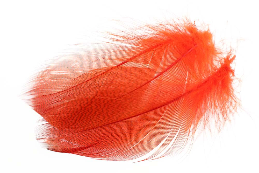 Mallard Duck Flank Large Selected - Fl. Fire Orange