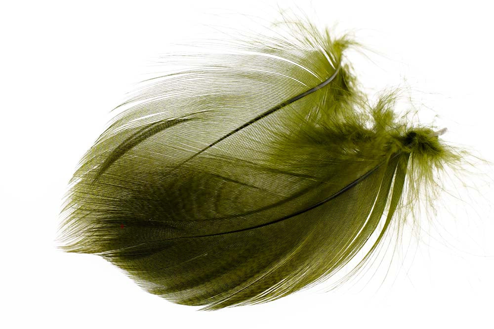 Mallard Duck Flank Large Selected - Olive