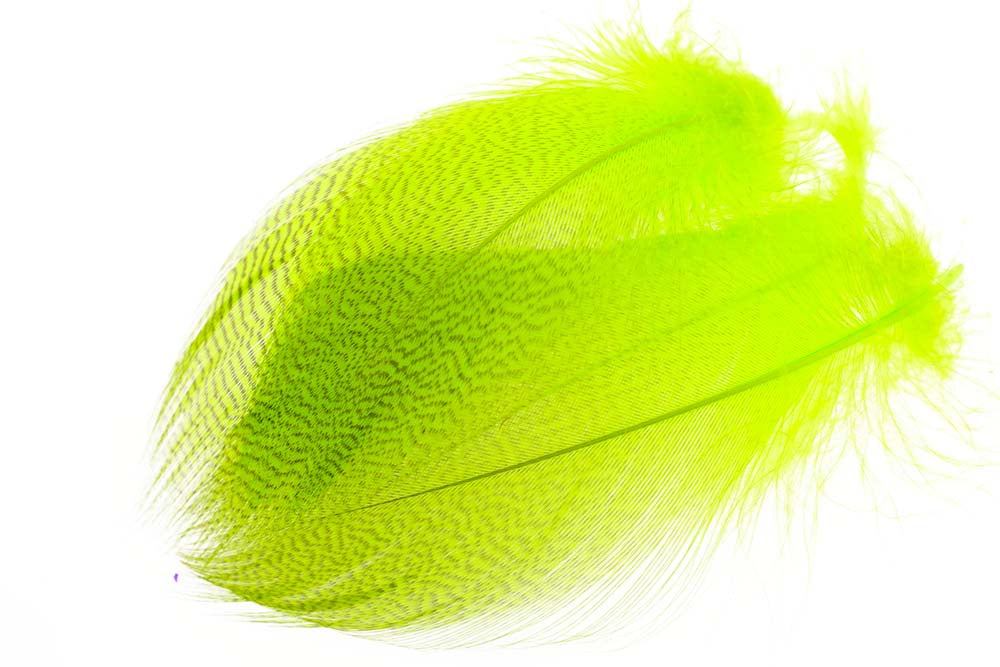 Mallard Duck Flank Large Selected - Fl. Chartreuse