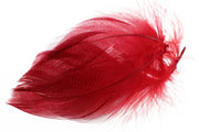 Mallard Duck Flank Large Selected - Red