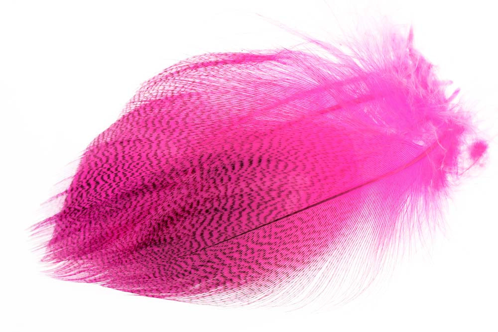 Mallard Duck Flank Large Selected - Fl. Pink