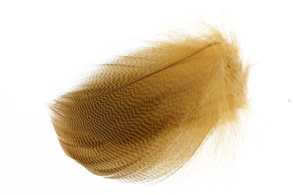 Mallard Duck Wing Large Selected - Woodduck