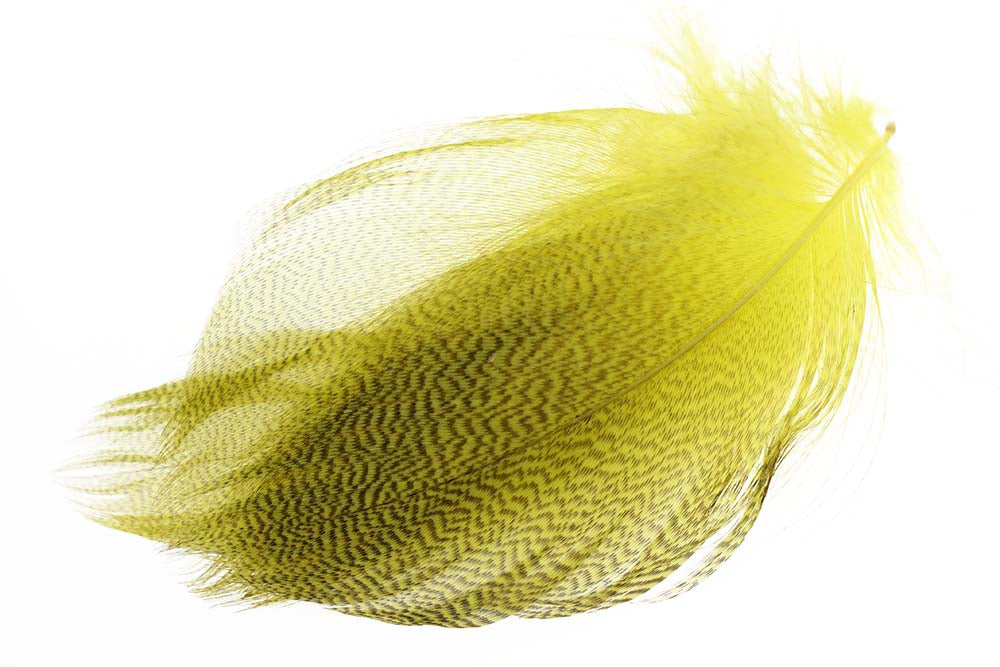 Mallard Duck Flank Large Selected - Mayfly Yellow