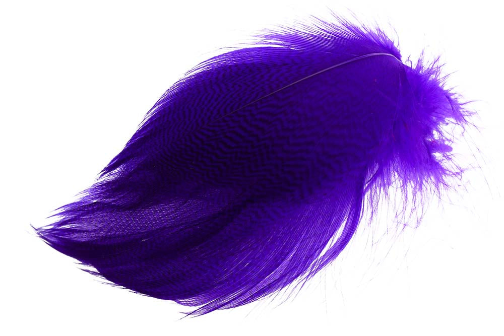 Gadwall Barred Flank - Purple