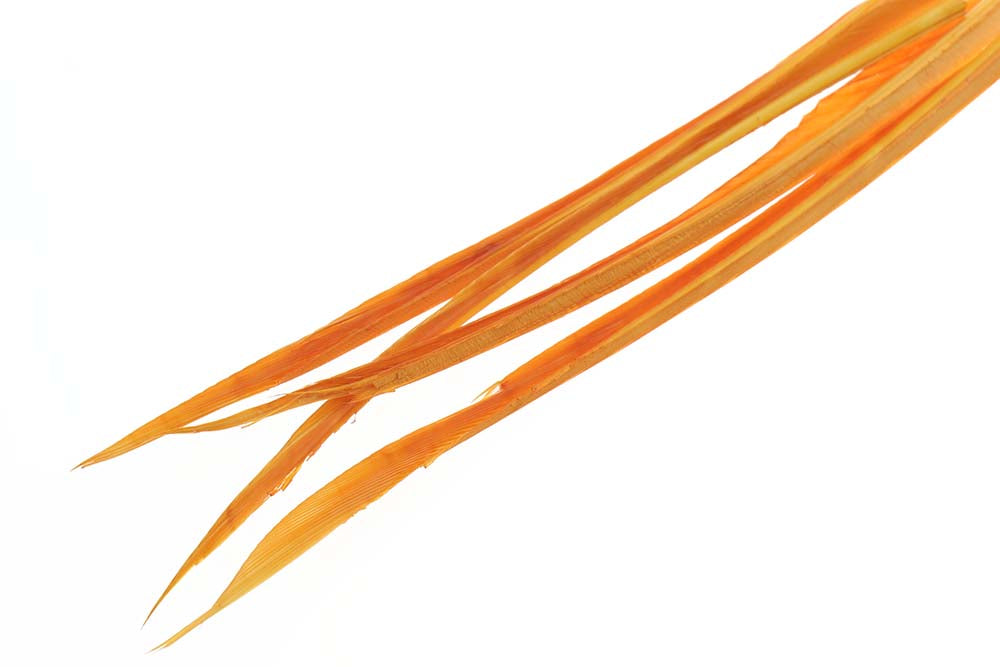 Turkey biots - Amber