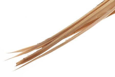 Du tilføjede <b><u>Turkey biots - Tan</u></b> til kurven.