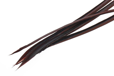 Du tilføjede <b><u>Turkey biots - Mahogany Brown</u></b> til kurven.