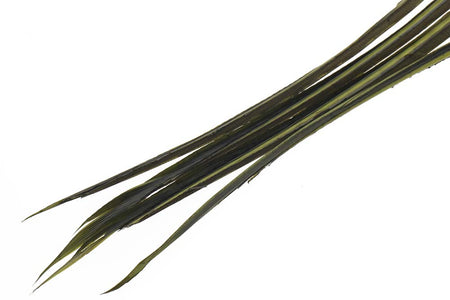 Du tilføjede <b><u>Turkey biots - Blue Winged Olive</u></b> til kurven.