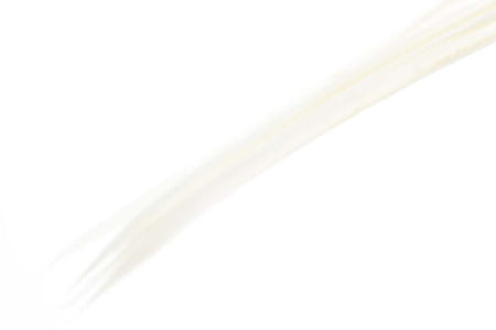 Du tilføjede <b><u>Turkey biots - White</u></b> til kurven.