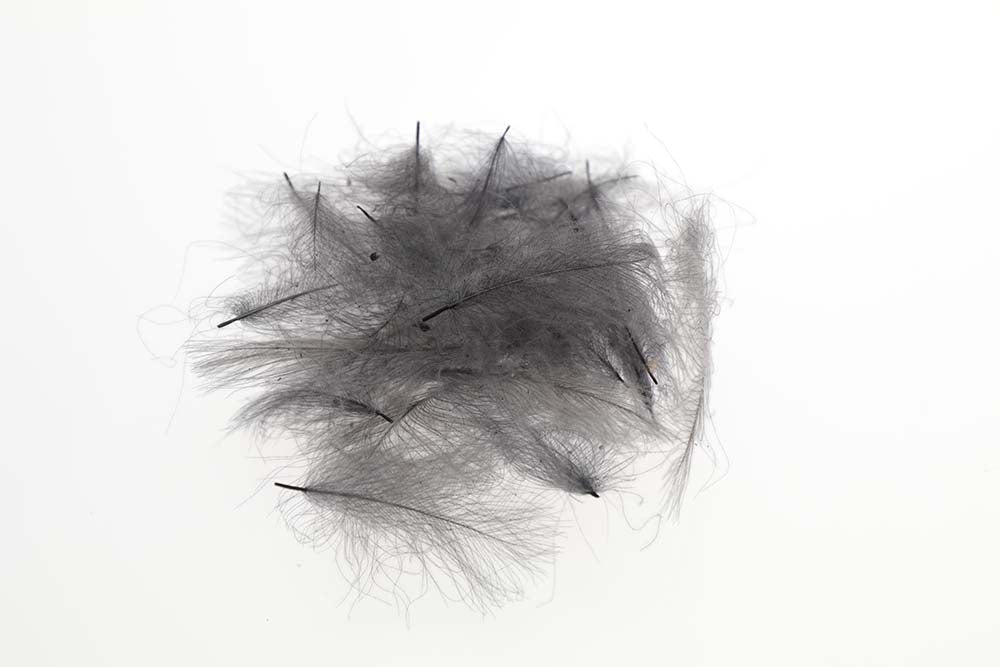 Flyco Cul De Canard - Blue Dun