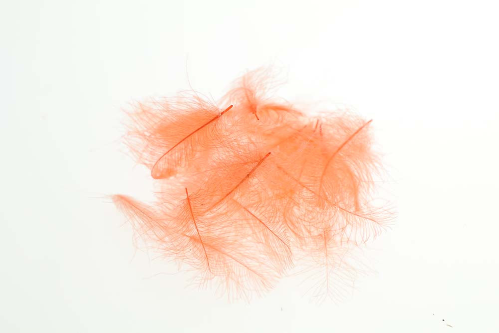 Flyco Cul De Canard - Fluo. Orange