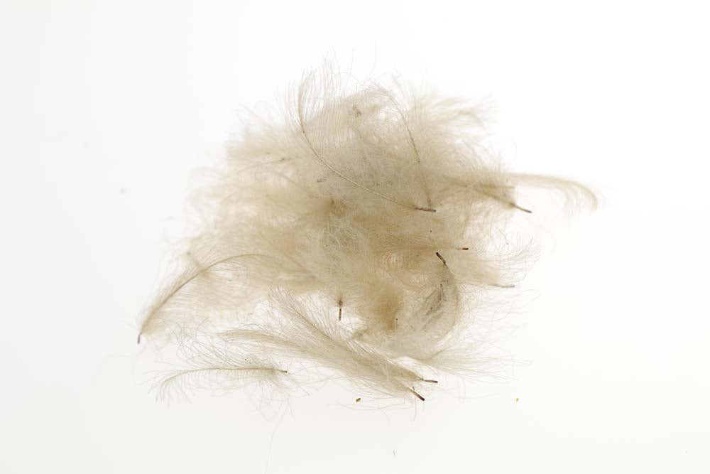 Flyco Cul De Canard - Tan