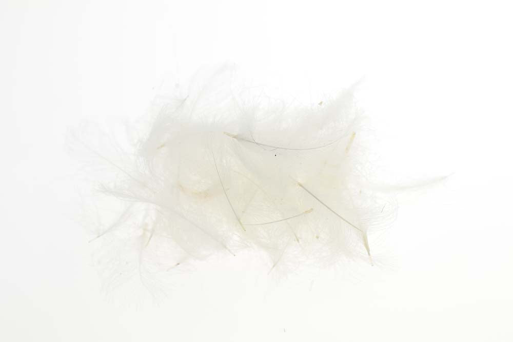 Flyco Cul De Canard - White