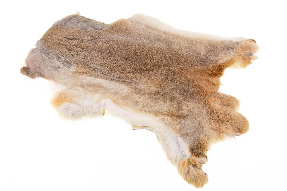 Hel kanin - Lys Natur