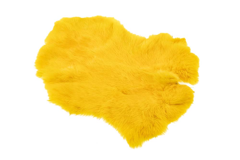 Hel kanin - Yellow
