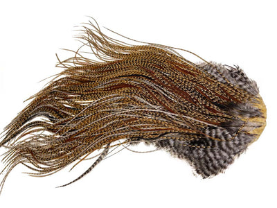 You added <b><u>(Bronze Grade) Whiting Red Label Saddle - Cree</u></b> to basket.