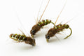 Swimming Caddis