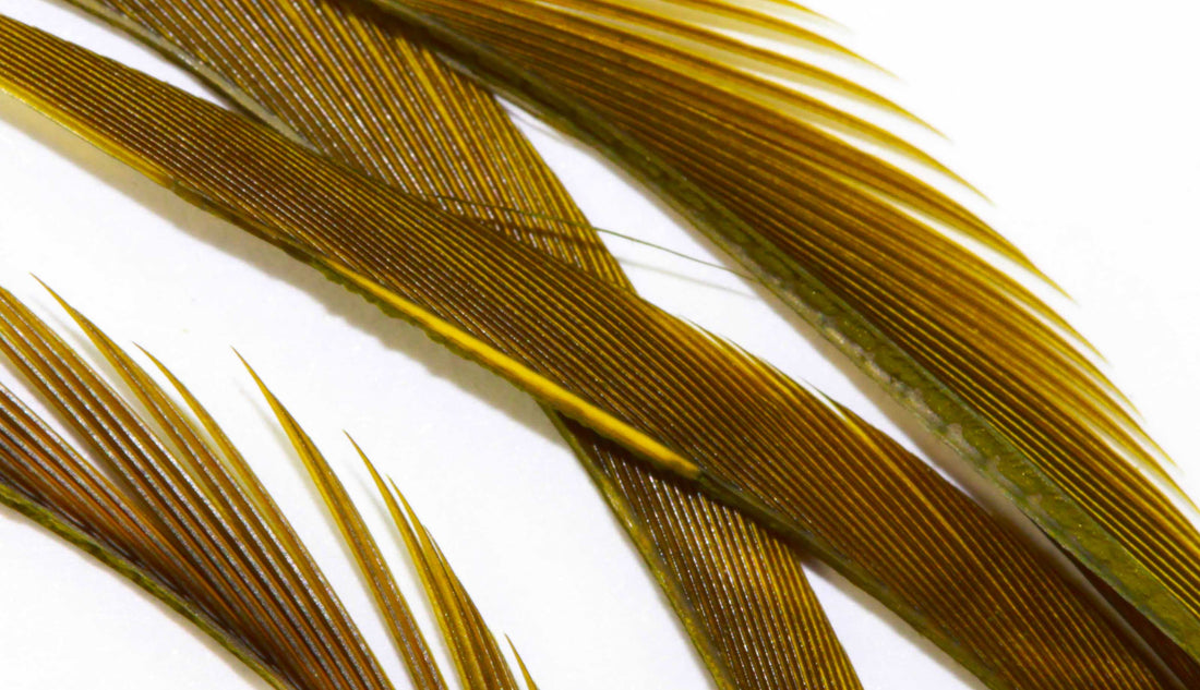 Goose Biots - Blue Wing Olive