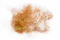 Palmer Chenille - Tan