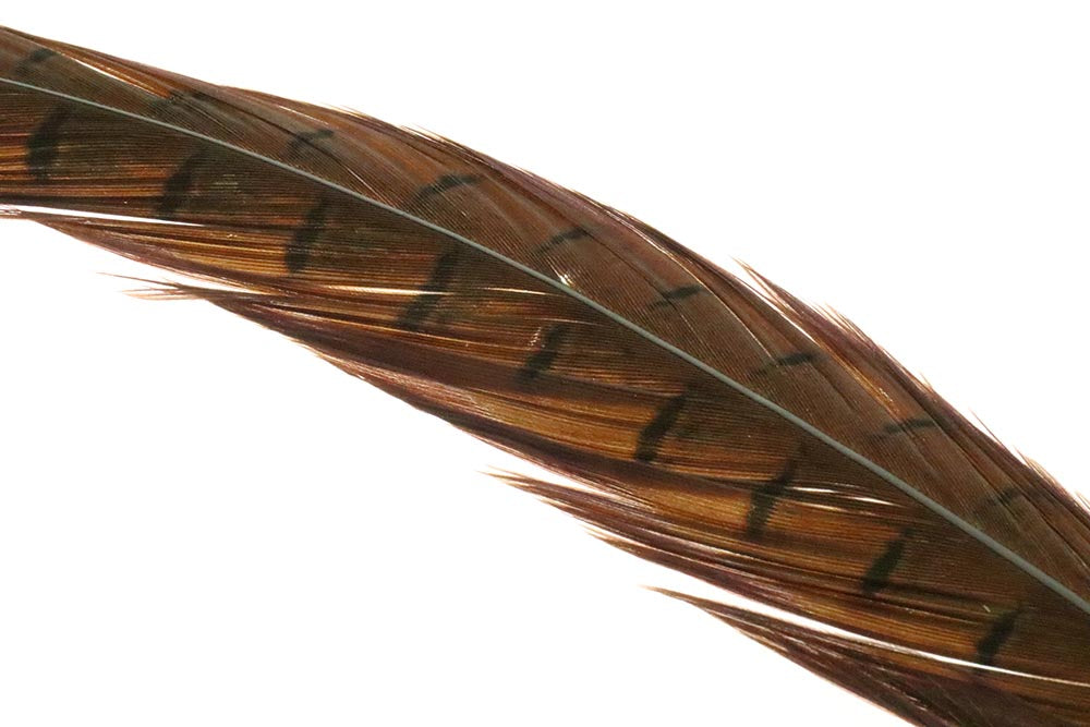 Ringneck Pheasant tail 1 Pair - Natural