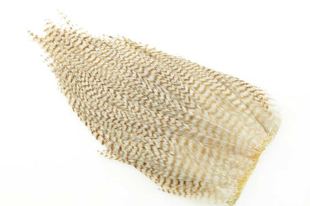 Du tilføjede <b><u>Ewing #1 Bleached Grizzly Deceiver Patch</u></b> til kurven.