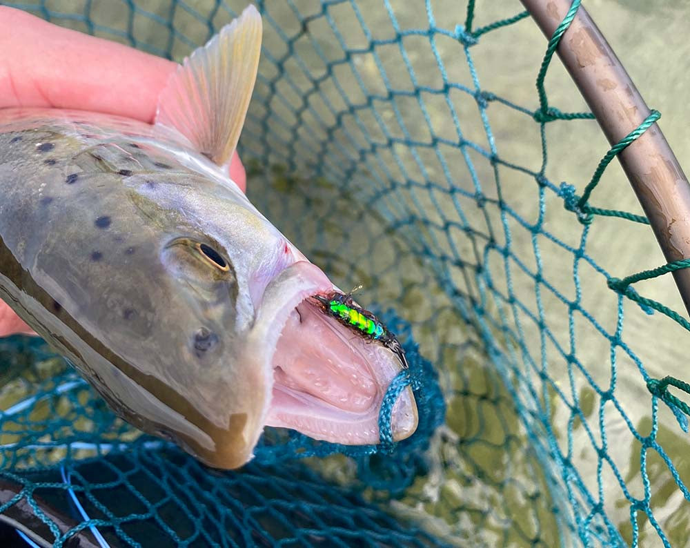 Lucifer - Materialesæt