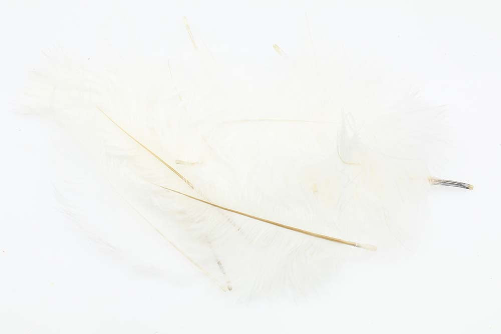 Micro Ostrich Spey Plumes - White