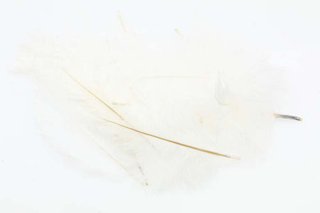 You added <b><u>Micro Ostrich Spey Plumes - White</u></b> to basket.