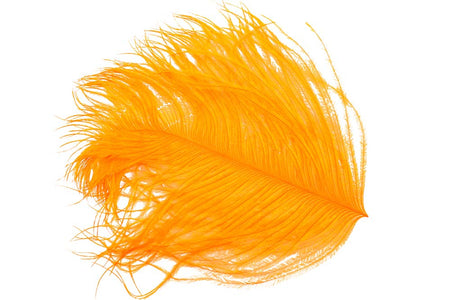 You added <b><u>Ostrich Herl - Orange</u></b> to basket.
