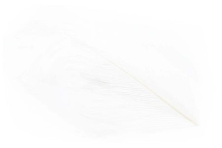 Du tilføjede <b><u>Struds Herl - White</u></b> til kurven.