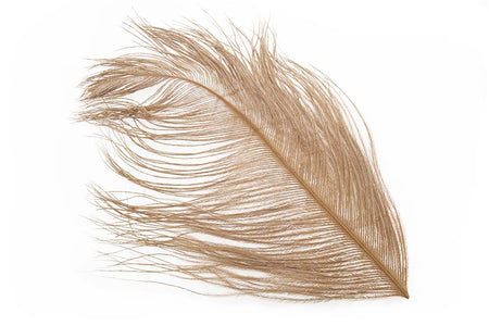 Du tilføjede <b><u>Struds Herl - Ginger</u></b> til kurven.