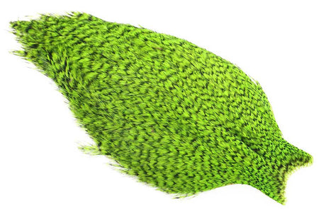Du tilføjede <b><u>Whiting American Rooster Cape - Grizzly Chartreuse</u></b> til kurven.