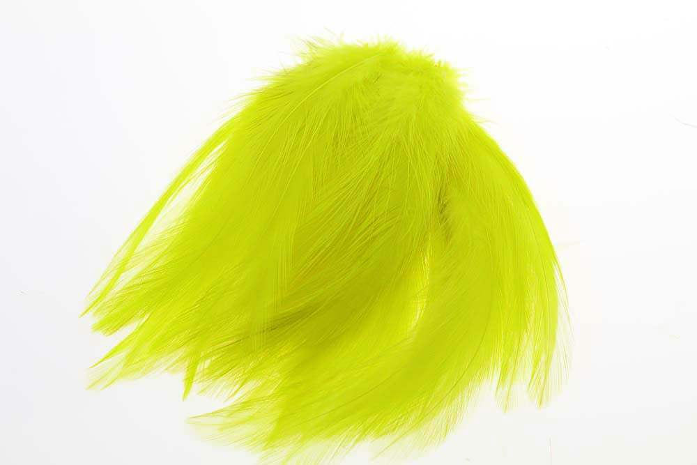 Hane Hackler - Fl.Yellow