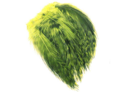Du tilføjede <b><u>Hane Hackler Grizzly - Olive</u></b> til kurven.