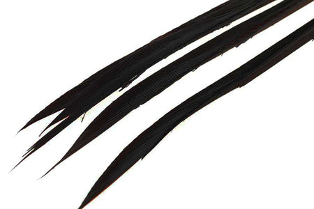 Du tilføjede <b><u>Goose Biots - Black</u></b> til kurven.