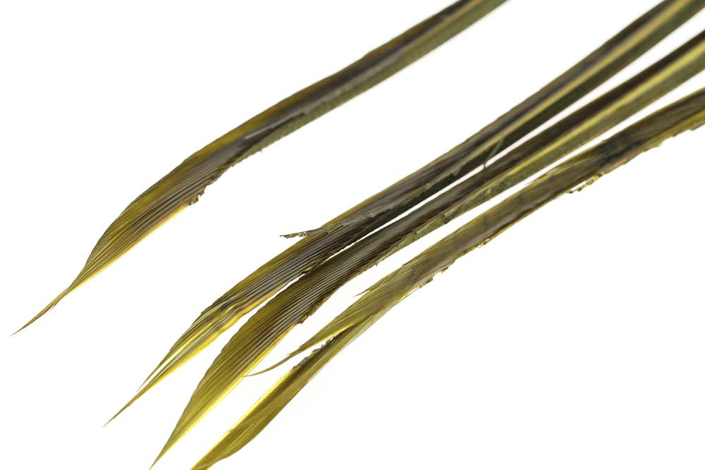 Goose Biots - Lt.Olive