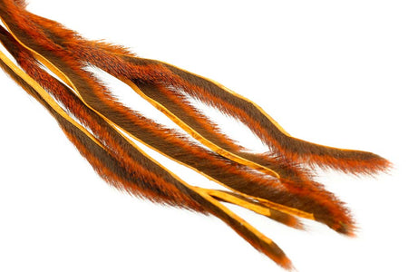 Du tilføjede <b><u>Pine squirrel - Orange</u></b> til kurven.