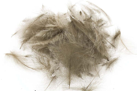 Du tilføjede <b><u>Swiss CDC Standard - Dun 15</u></b> til kurven.
