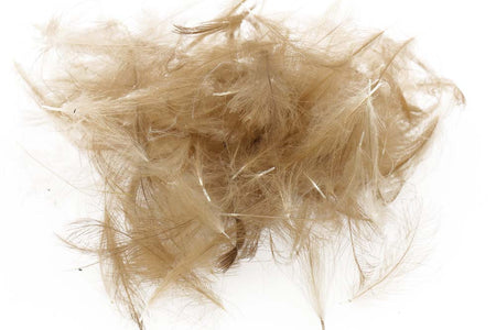 Du tilføjede <b><u>Swiss CDC Standard - Dark Brown 7</u></b> til kurven.