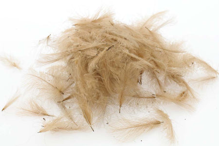 Du tilføjede <b><u>Swiss CDC Standard - Brown 6</u></b> til kurven.