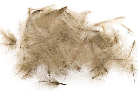 Du tilføjede <b><u>Swiss CDC Standard - Khaki Campell 5</u></b> til kurven.
