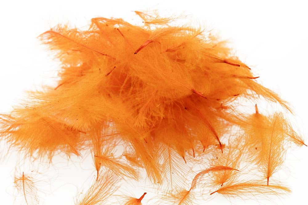 Swiss CDC Standard - Orange 29