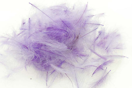 You added <b><u>Swiss CDC Standard - Violet 32</u></b> to basket.
