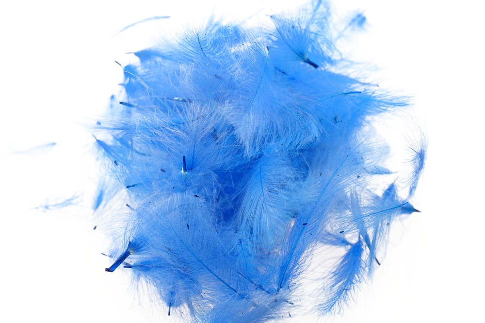 Swiss CDC Standard - Blue King 36