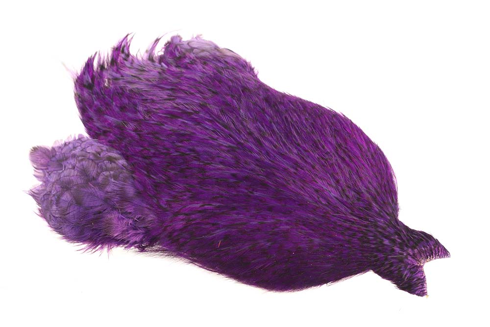 4B Whiting Rooster Cape - Grizzly Purple
