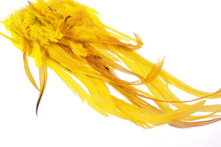 Du tilføjede <b><u>Giga Keough Pike Schlappen pack - Yellow</u></b> til kurven.